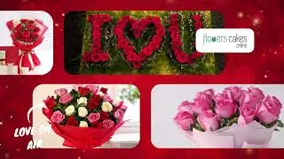 Rose Day Gifts | Order Valentine Roses Online in India