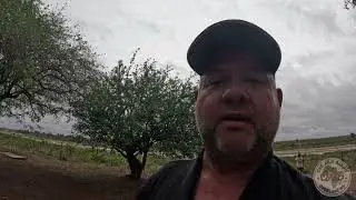Private tour in Kruger Park Oct 2025 Ep.1