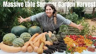 Harvest with me! Garden VLOG