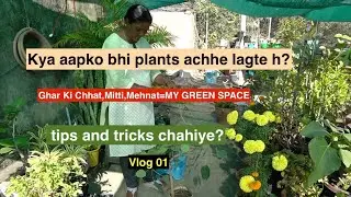 Mini Jungle at Home 🌿 | Bonsai Collection & Garden Tour#like #comment #subscribe #gardening #tips