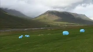 Scandinavian farmers hit by drought