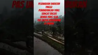 Pesawahan daratan tinggi #shots #subscribers
