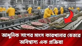 আধুনিক প্রযুক্তিতে কীভাবে প্রক্রিয়াজাত হচ্ছে সাপের মাংস | Snake meat | Snake | News | ZtvBanglaHd