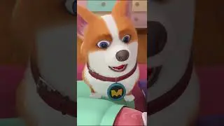 Flying MOCO 🐶 | Beat Spring Fatigue | Flying MOCO English Shorts (2025)