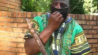 Repatriation Back To Africa: The Real Facts