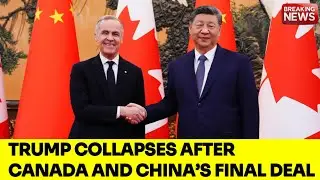 Canada reaches tariff deal with China on EVs ,Canola &ndash; Economic impact On Canadians