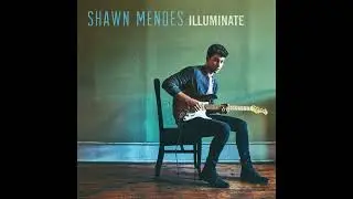 Shawn Mendes - Mercy (slowed + reverb)