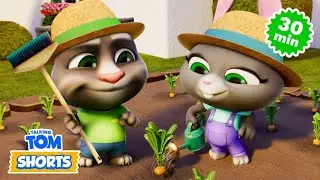The Cupcake Dream & More Talking Tom Shorts (S2 Episode 55)