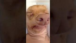 If you smiled you lose