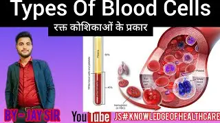 Types of Blood Cells , What are RBC And WBC रक्त कोशिकाओं के प्रकार, आरबीसी और डब्ल्यूबीसी क्या हैं