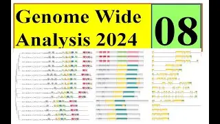 Domain, gene structure, motif analysis Genome wide study 2024 Part 08