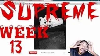 Supreme Live Cop SS 17 Week 13 | More Hype than a Box Logo?!