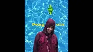 Penguin - Quack