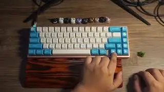 C3 Equalz Kiwi Sound Test (Stock)