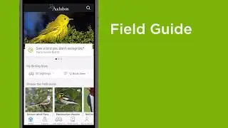 Как пользоваться приложением Audubon Bird Guide