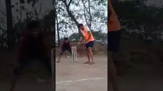 Homemade Stumps with LED Lights