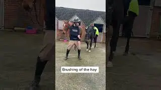Dance moves for equestrians!! #music #equestrian #party