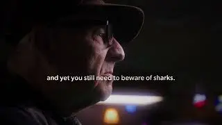 Seyberts Commercial Sharks