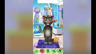 Tom cat failed the test / grounded