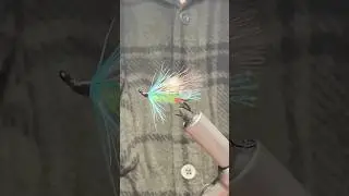 Fly of the week: The Stranger