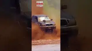 Cat Driving a Monster in Mud (Dog Is Terrified!)