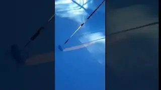 Fiberglass Pool Restoration