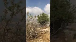 mag hiking dw kinalabasan puro tusok2 mga paa dahil sa mga spikes😁