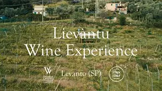 Liev&agrave;ntu Wine Experience - 5 sensi nella Vallata di Levanto