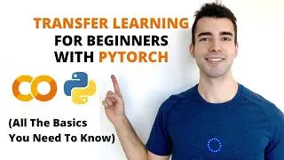 PyTorch Transfer Learning Tutorial 2026 - Build an Image Classifier Fast