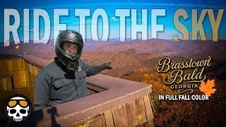 Лучший осенний аттракцион &mdash; Brasstown Bald в полном цвете! 🍂
