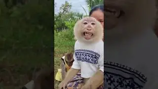 Ух ты, Яя, какая прелесть 🤩