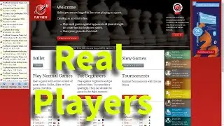 Free online chess tournament online website (2024 English)