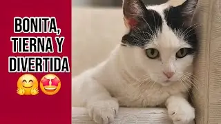 Eva y sus chistes/Recopilación 