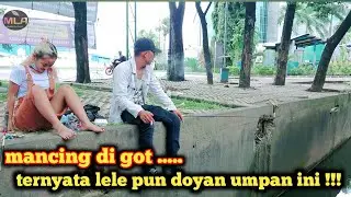 mancing di got banyak lele ~ fishing mania ~ mancing amyar ~ baselini banana fishing ~ mancing mania