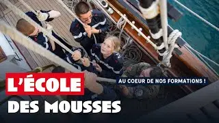L'Ecole des mousses, l'école de l'excellence 🎓⚓