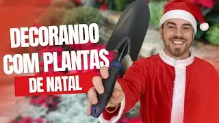 Como DECORAR para o NATAL USANDO PLANTAS | Gabriel Penteado