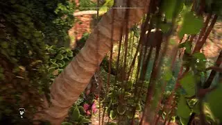 Horizon Forbidden West bug 5min gameplay
