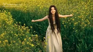 Playlist hot Douyin || Mùa hạ mộng mơ - Dành cho bạn một chút bình yên trong ngày