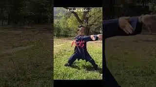 KungFu Kids #martialarts #wushufight #fightingstyles