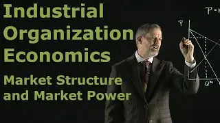 Industrial Organization Economics - Market Structure and Market Power