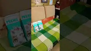 Спасибо за поддержку, отчитываюсь по кормам для хвостиков 🐯🐆😻