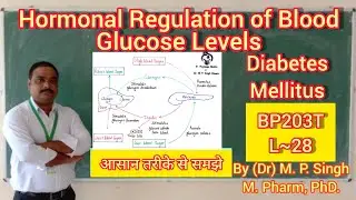Hormonal Regulation of Blood Glucose Level | Diabetes Mellitus | Biochemistry | BP203T | L~28