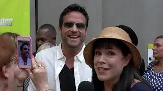Car Dogs Red Carpet