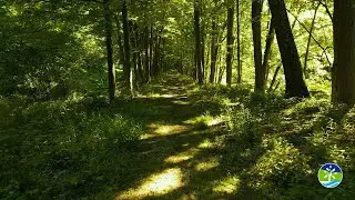 Discover Ellenville - Ellenville O&W Rail Trail