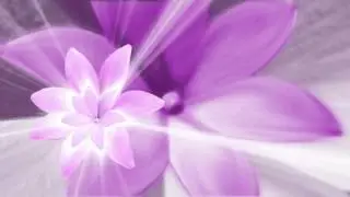 [Style Proshow] Video effect background foot age HD  ||