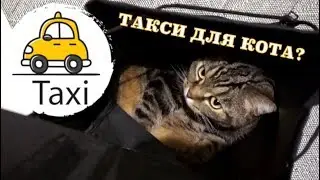 Личное такси для кота; Personal taxi for a cat