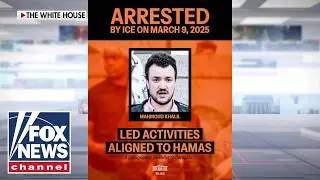 NEW: Judge blocks deportation of Palestinian activist despite possible national security threat