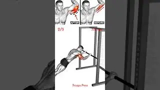 How to have big triceps🔥#tricepsworkout #exercise #triceps
