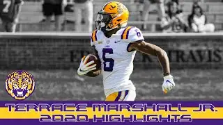 Terrace Marshall Jr. | 2020 Highlights