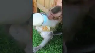 Pity Baby very hungry milk during hurt hand #shorts